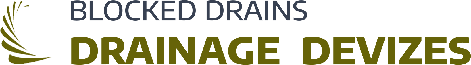 website logo